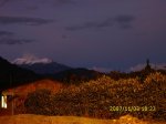 IMG_0082 (Large).JPG