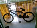 BmX.jpg