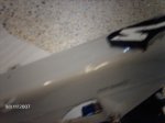amelia 025.jpg
