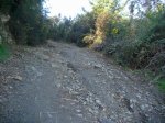 Img_2505.jpg