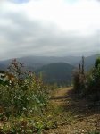 Img_2520.jpg