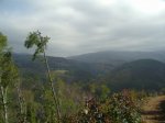 Img_2521.jpg