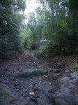 Img_2548.jpg