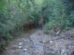 Img_2550.jpg