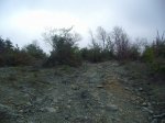 Img_2552.jpg