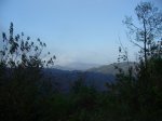 Img_2553.jpg