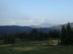 Img_2554.jpg