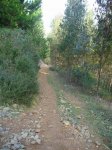 Img_2559.jpg