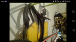 Screenshot_2018-01-05-23-26-57 (1).png