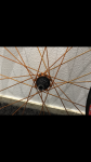 IMG_1425.PNG