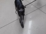 20171230_150951.jpg