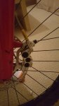 20161124_183501.jpg