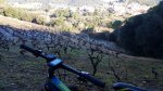 20180112_110436.jpg