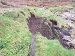 IMG-20180113-WA0001_939x704.jpg