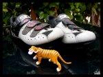 SIDI DRAGON_1.jpg