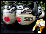 SIDI DRAGON_3.jpg