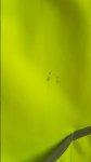 20180116_124341.jpg