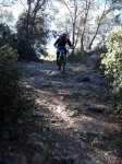 IMG-20180117-WA0006.jpg