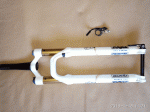 Photo1.gif