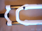 Photo3.gif