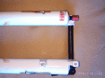 Photo4.gif