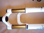 Photo5.gif