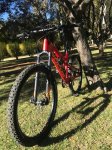 Focus Spine C-pro 2.jpg