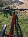 Focus Spine C-pro 5.jpg