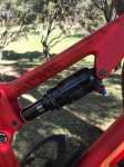 Focus Spine C-pro 6.jpg