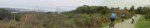 Panorama 1.JPG
