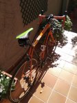 IMG_20171024_132700.jpg