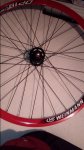 20170526_090533.jpg
