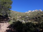 IMG-20180129-WA0022.jpg