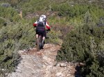 IMG-20180129-WA0026.jpg