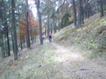 PIC_0013.JPG