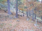 PIC_0018.JPG