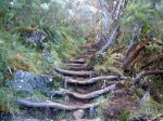sentier_piton_des_neiges.jpg