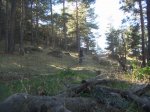PICT0110_redimensionar.JPG