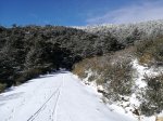 IMG_20180203_112210.jpg