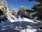 IMG_20180203_115314.jpg