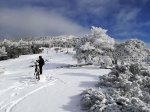 IMG_20180203_121130.jpg