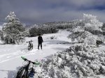 IMG_20180203_121245.jpg