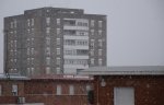 DSC_0739.JPG