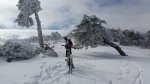 20180203_121336.jpg