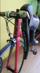 20170905_130658.jpg