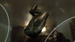 IMG-20180208-WA0045.jpeg