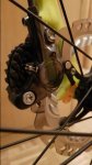 IMG-20180211-WA0044.jpeg