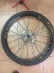 IMG-20180211-WA0002.jpg
