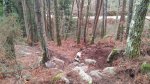 FD3C1197-716D-4298-9620-5757C0450413.jpeg