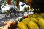 oroypaz18st5-fruit-920.jpg